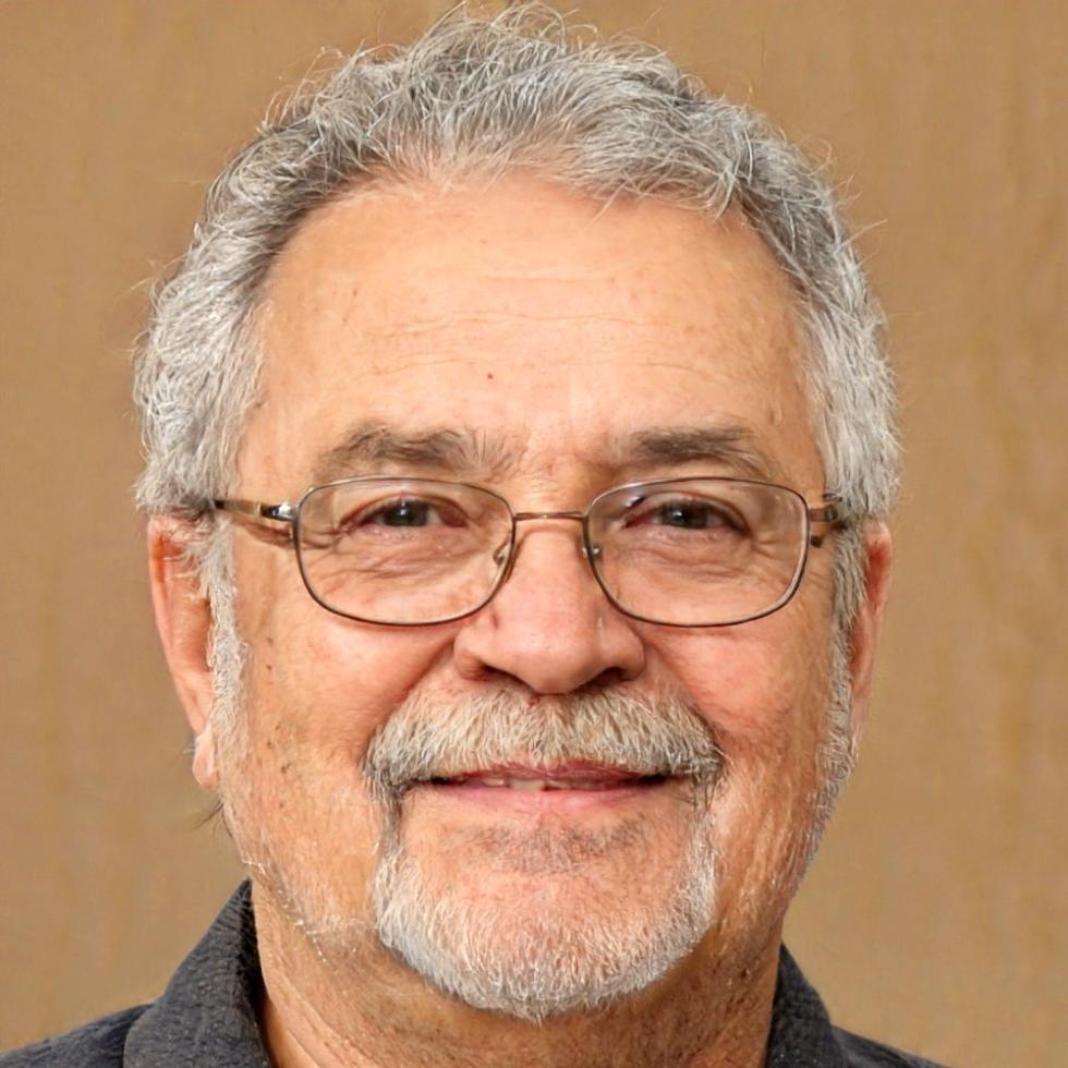 Profesional de seguridad informática